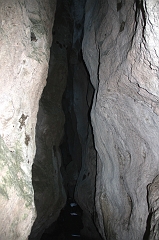 59 (13)